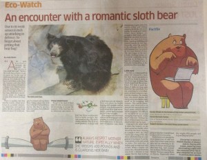 An Encounter with a Romantic Sloth Bear