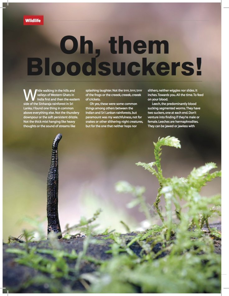 Oh, Them Bloodsuckers TG_May 2015_Inside