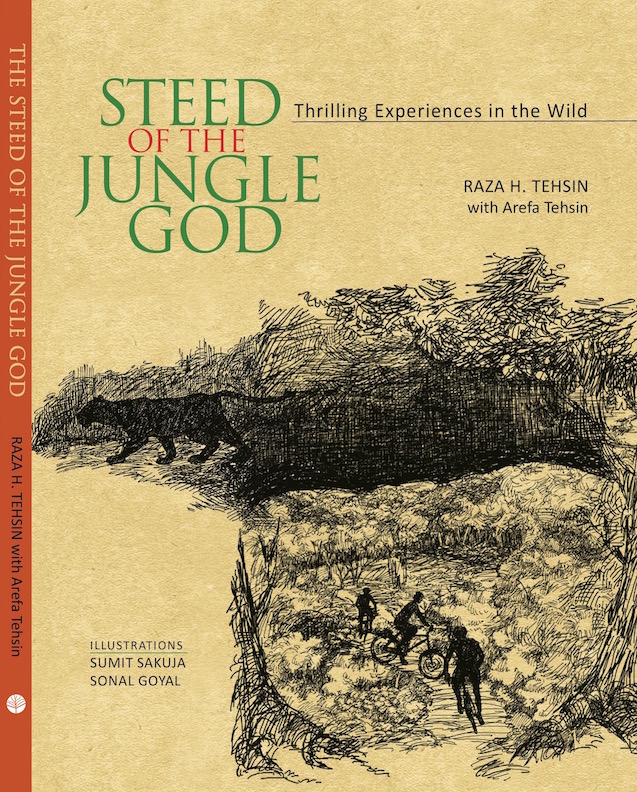 jungle god cover FINAL copy 2